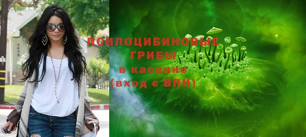 ешки Верея